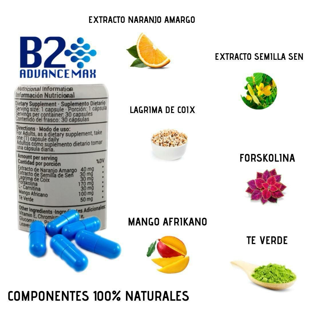 B2 quemador de grasa